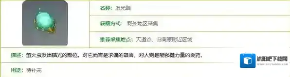 原神发光髓采集地点一览