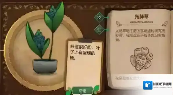 奇异园艺解毒剂