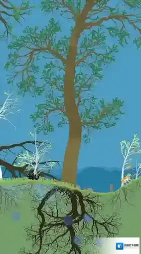 小松林生态系统