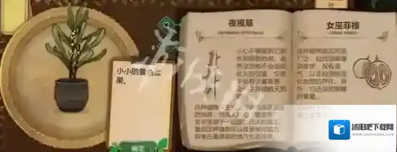 游侠网87