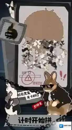 挤在一起的兔兔在一起