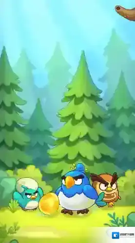 萌鸟总动员小鸟