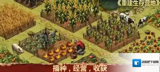 重建生存营地探索