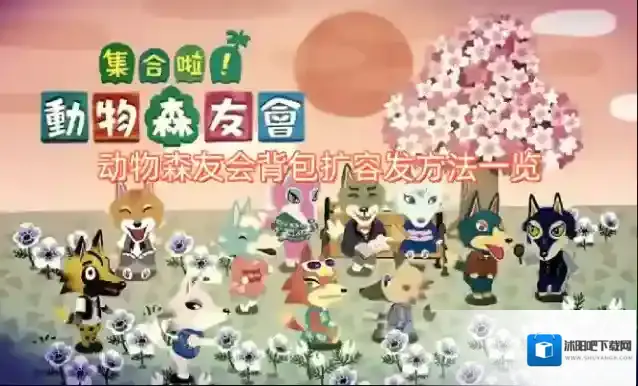 动物森友会背包扩容发方法一览
