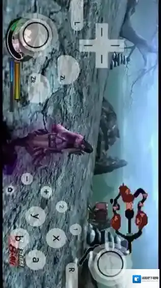 红海豚模拟器游戏