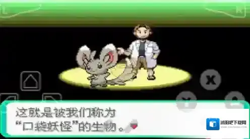 口袋妖怪漆黑的魅影