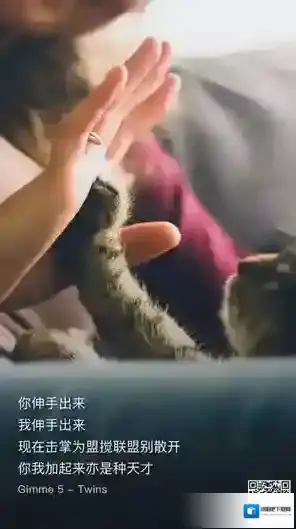 有声照片玩法介绍