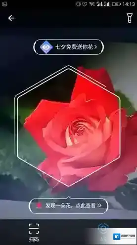 支付宝相关内容