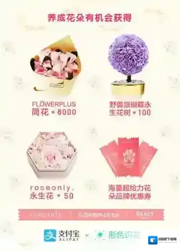 支付宝花种