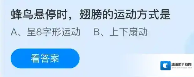 蜂鸟悬停时，翅膀的运动方式是