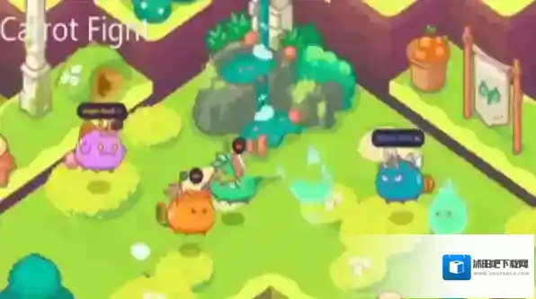 胡萝卜大作战玩家