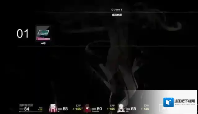 战双帕弥什黑卡