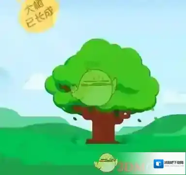 《支付宝》蚂蚁森林环保证书相关功能作用介绍