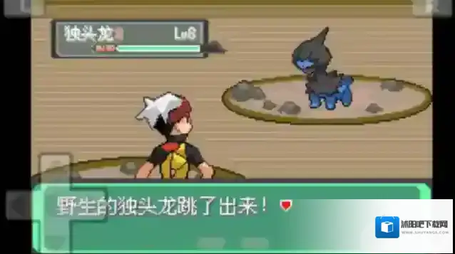 口袋妖怪漆黑的魅影5 你对这款游戏了解吗