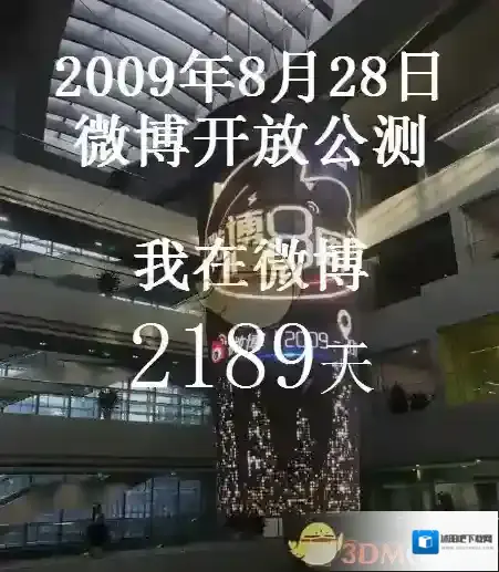 新浪微博在哪里看