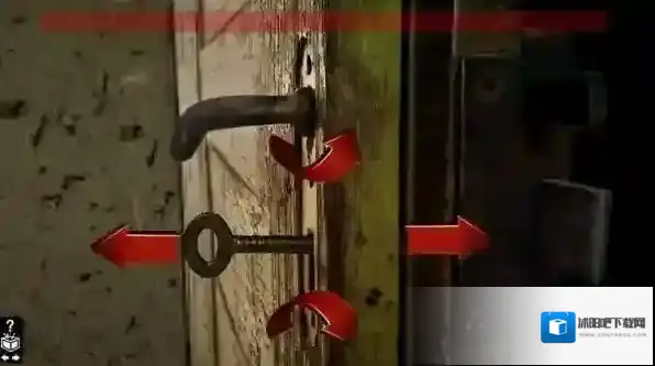 木箱樟Cedar chest探索