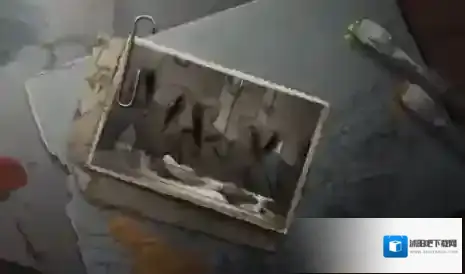 网易第五人格画家