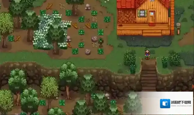 星露谷物语玩家