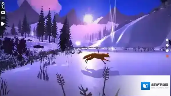 the first tree星星