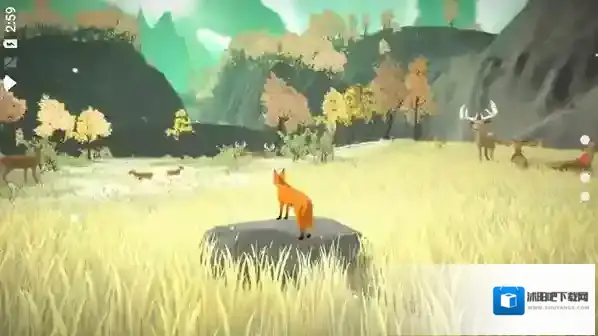 the first tree探索