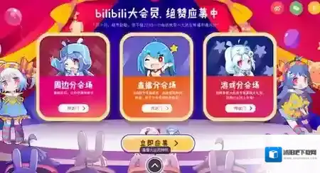 哔哩哔哩会员服务