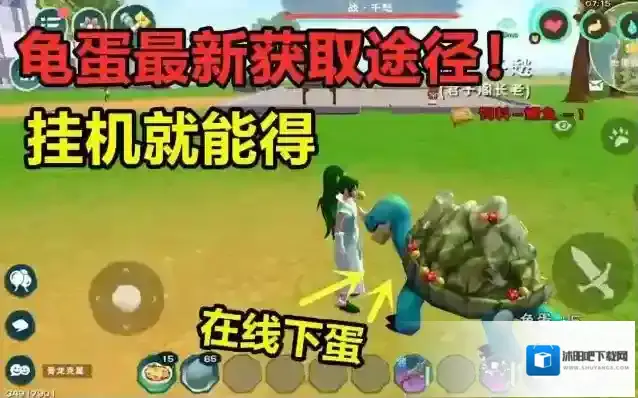 创造与魔法龟蛋能干嘛