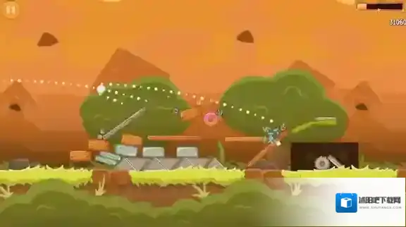 愤怒的小鸟R计划小鸟