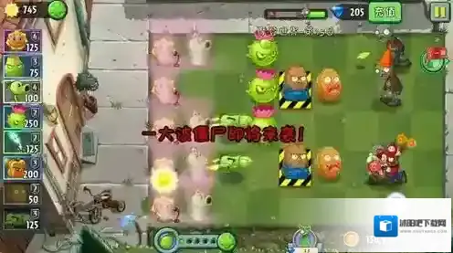 植物大战僵尸2植物