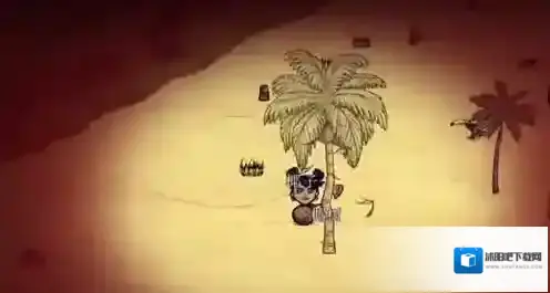 饥荒海滩稀有物品介绍