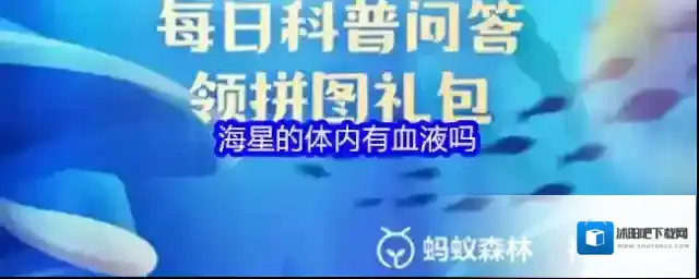 海星的体内有血液吗