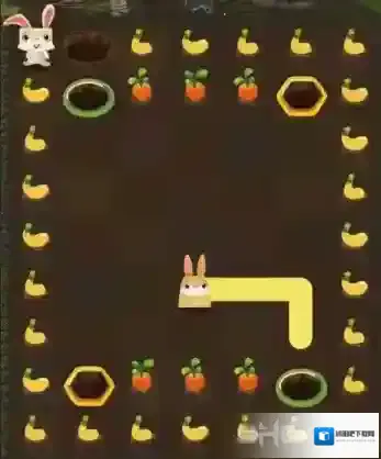 兔子复仇记中文版路线