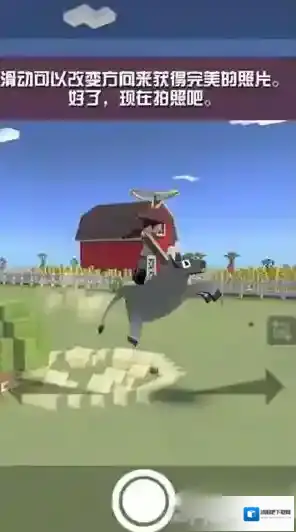 疯狂动物园披风