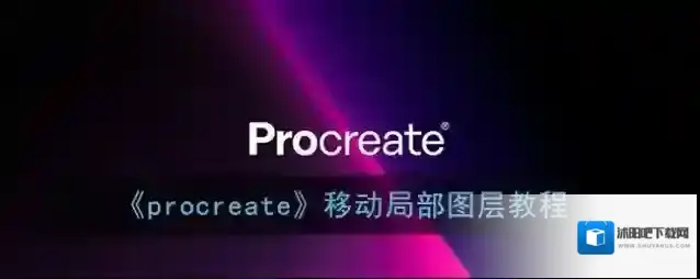 Procreate Pocket局部