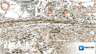 神都夜行录符咒