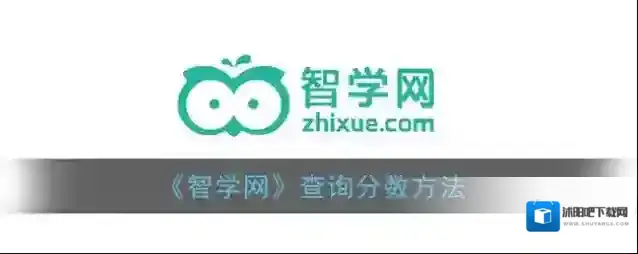 智学网分数