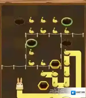 兔子复仇记中文版卷心菜