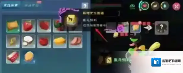 创造与魔法靓夫