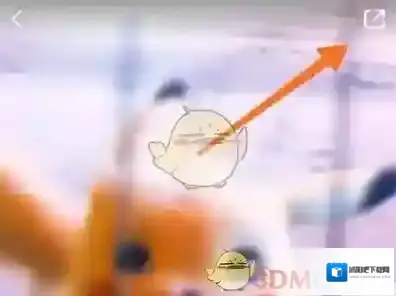 小红书视频壁纸