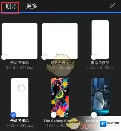 Procreate Pocket你想