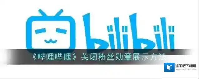 哔哩哔哩粉丝勋章