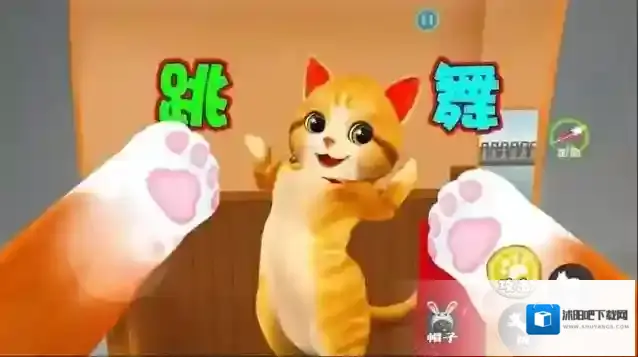 我是猫喵喵猫咪