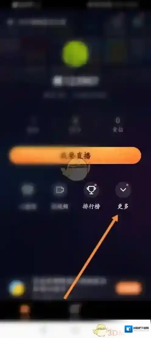 快手直播伴侣内容