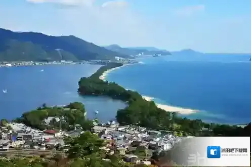 旅行青蛙明信片