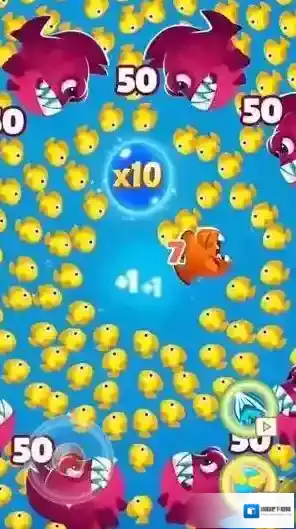 鱼吃鱼大冒险鱼类