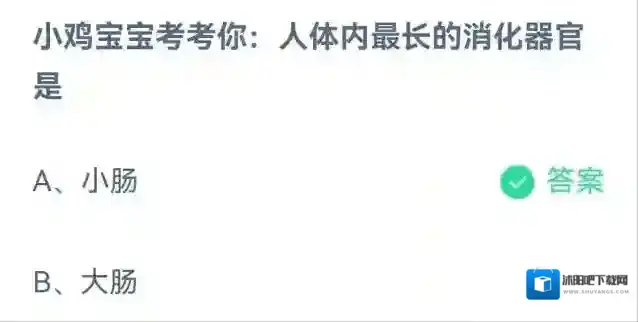 支付宝蚂蚁庄园