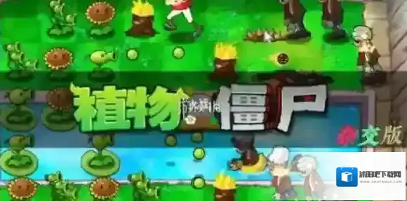 植物大战僵尸杂交版星星