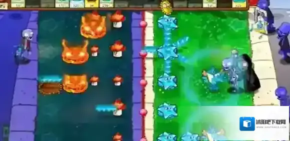 植物大战僵尸杂交版种植