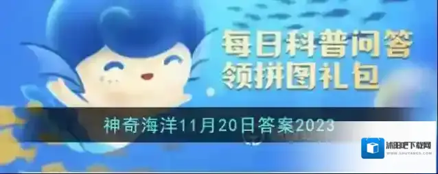 以下哪种海洋动物头似马尾似猴