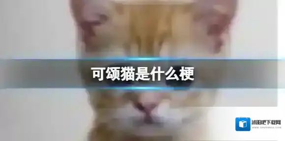 可颂猫是什么梗 可颂猫是什么意思