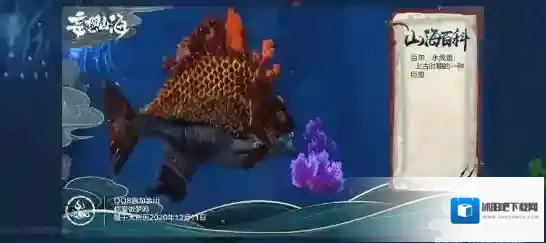 妄想山海水虎鱼在哪 捕捉位置分享